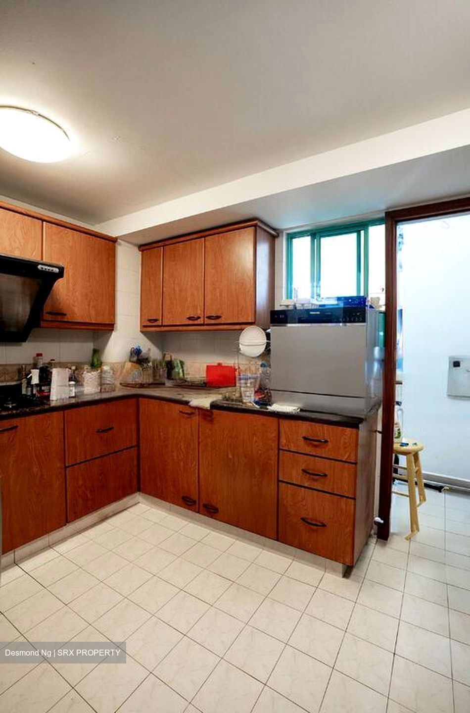 Southaven II (D21), Condominium #460380151